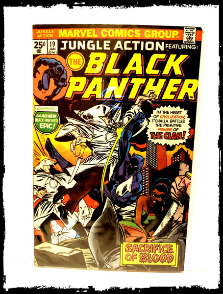JUNGLE ACTION: FEAT BLACK PANTHER - #19 BLACK PANTHER VS THE KLAN! (1976 - FN+)