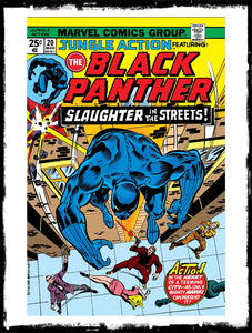 JUNGLE ACTION: FEAT BLACK PANTHER - #20 (1973 - FN/VF)