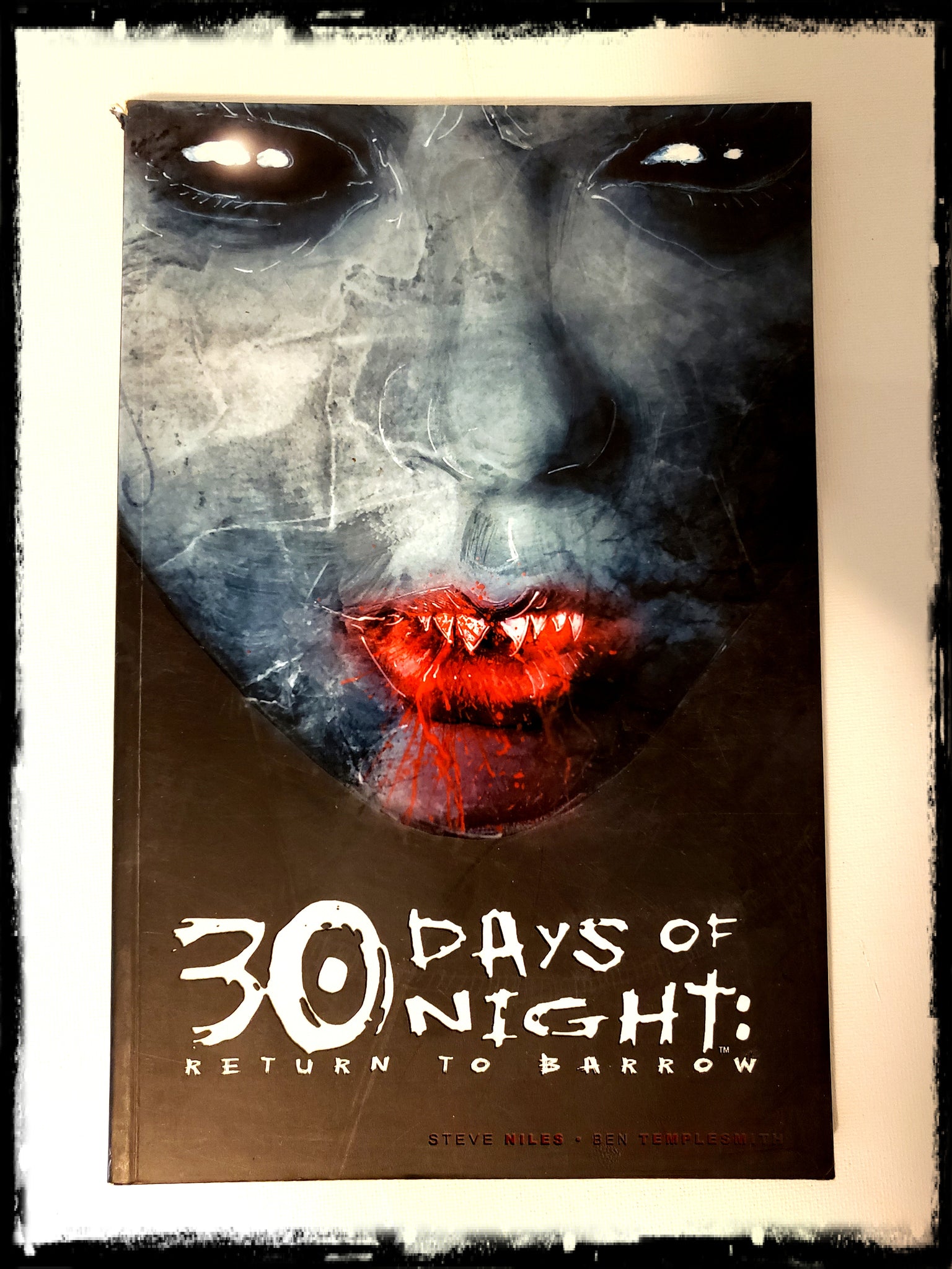 30 DAYS OF NIGHT: RETURN TO BARROW - 2004 TRADE PAPERBACK